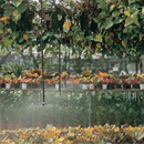 Irrigation & Watering Equipment