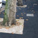 RonaDeck Tree Pit System