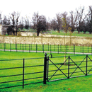 Estate Fencing by Paddock Fencing