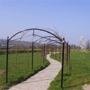 Garden Arches and Vine Arches by Paddock Fencing