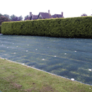 GrassMesh from Hy-Tex