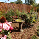 Strulch recommended by John Cavill - RHS and Gardeners World Award Winner