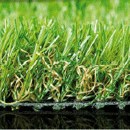 Namgrass Green Meadow 