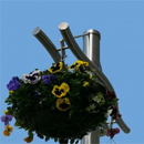 By10 Hanging Basket