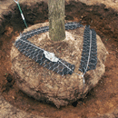 Rootball Fixing System - Plati-Mat