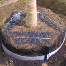 Piddler Tree Irrigation System