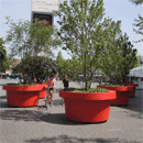 Giant Flowerpots