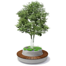 Green Circular Benches