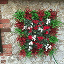 Vertical Gardens