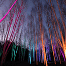 DMX colour changing, outdoor garden lights