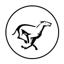 HD Dog Racing