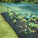 Fruit and Vegetable Cages 