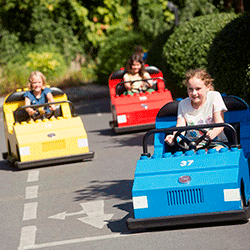 Electric Cars for Attractions