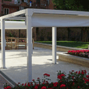Free Standing Canopies