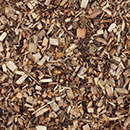 Equestrian Surfaces