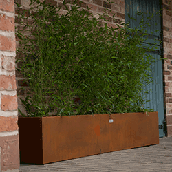 Corten Steel Trough Planter