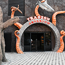 Trabzon Aquarium Project Completed In Turkey