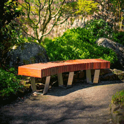 Curved Benches