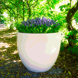 Bradwell Planter 