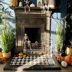 Period Property - trials and tribulations..