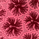 Vibrant Floral Carpet