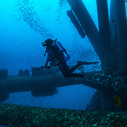 Rising to the Challenge of Underwater Inspections.