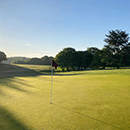 Team Spirit and Johnsons Sports Seed Lead Remarkable Recovery at Thorndon Park