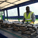 Mobile Picking Station Hire