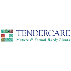 Tendercare