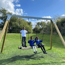 Commercial Swing Frame with Snake Swing