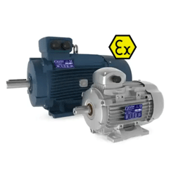 ATEX Electric Motors