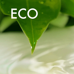 Eco Products 
