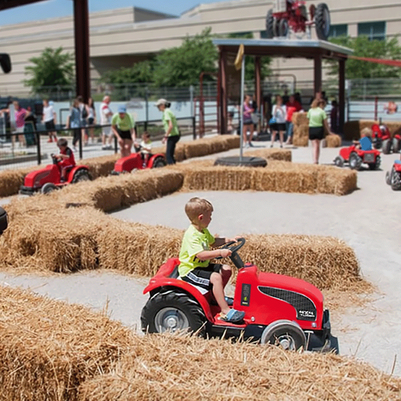 SBI Children’s Farm