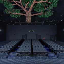 4D/5D Theater