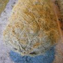 Coir Log Roll by Envisage Wildcare