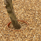 Ronacrete Eco Tree Pit