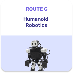 Route C — Humanoid Robotics