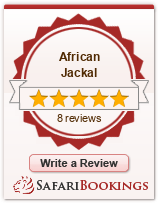 Reviews about African Jackal