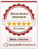 Reviews about African Bovine Adventures