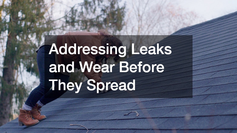 Addressing Leaks and Wear Before They Spread