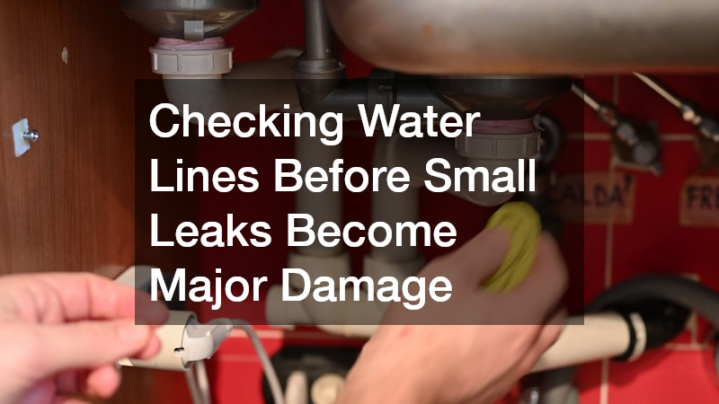 Checking Water Lines Before Small Leaks Become Major Damage