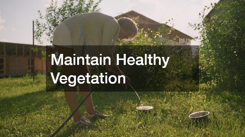 Maintain Healthy Vegetation
