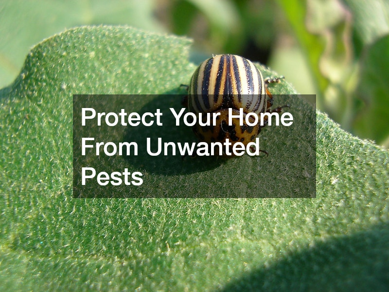 Protect Your Home From Unwanted Pests