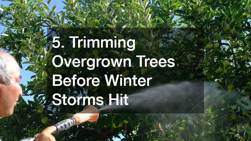 5. Trimming Overgrown Trees Before Winter Storms Hit