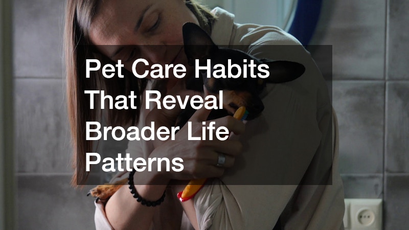 Pet Care Habits That Reveal Broader Life Patterns