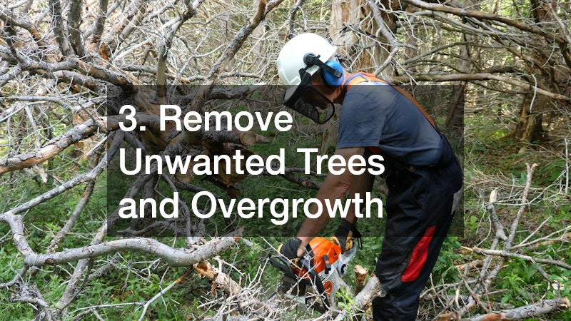 3. Remove Unwanted Trees and Overgrowth