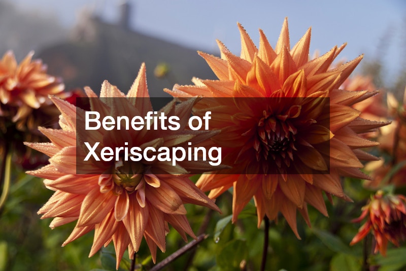 Benefits of Xeriscaping