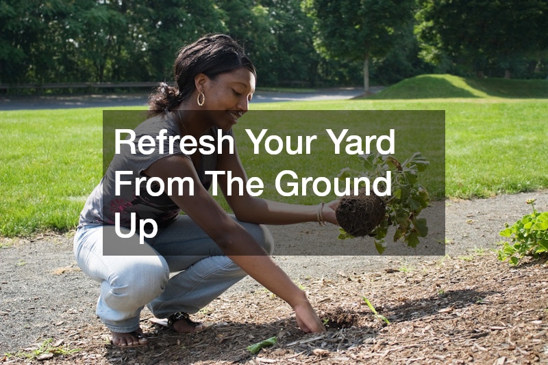 Refresh Your Yard From The Ground Up