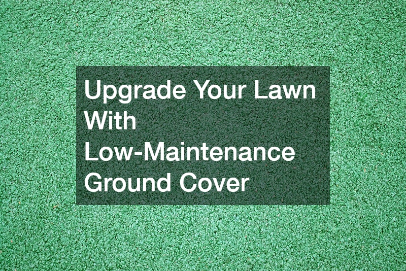 Upgrade Your Lawn With Low-Maintenance Ground Cover