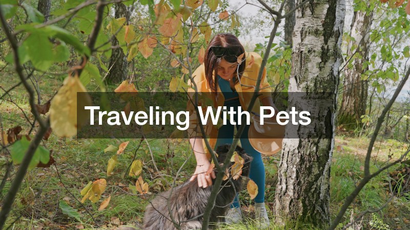 Traveling With Pets